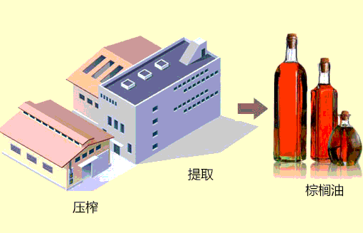 棕榈油生物柴油