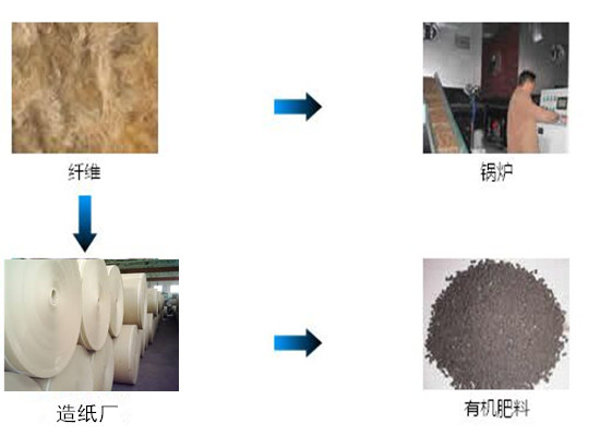 棕榈加工副产品的资源化利用