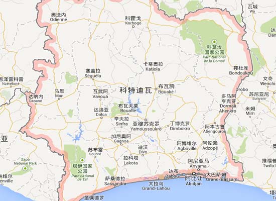 科特迪瓦政府将推进棕榈油产业的持续发展