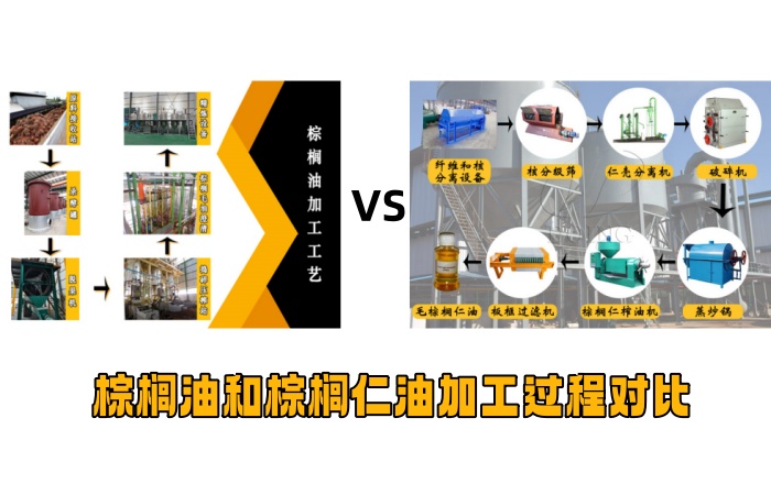 棕榈油和棕榈仁油加工过程对比