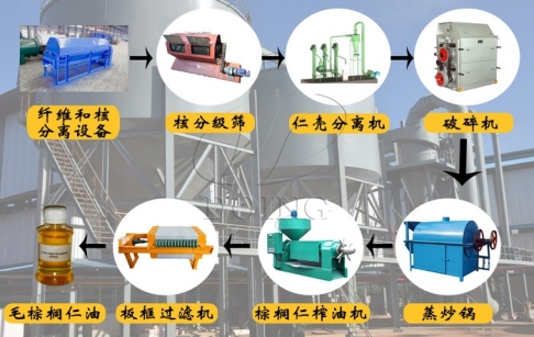 棕榈仁油压榨工艺