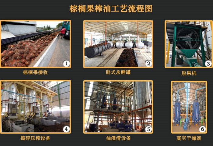 棕榈压榨工艺