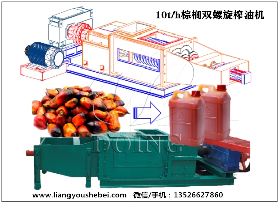 DOING公司将在工厂测试10tph棕榈双螺旋榨油机的运行情况
