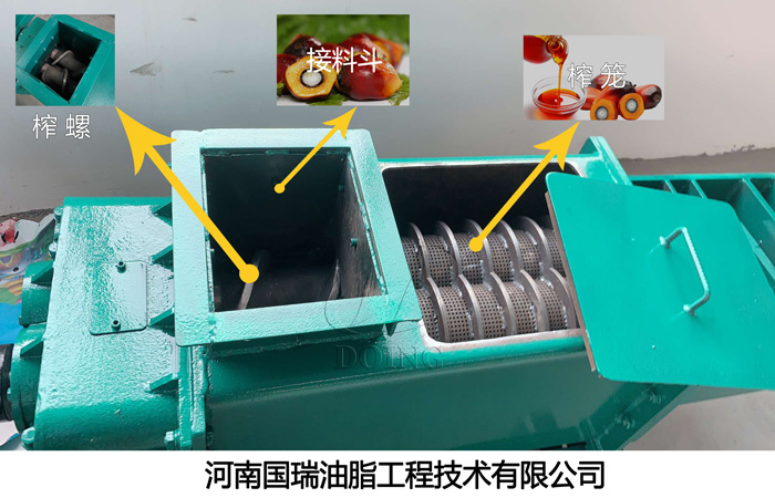 1吨/小时小型双螺旋棕榈油榨油机