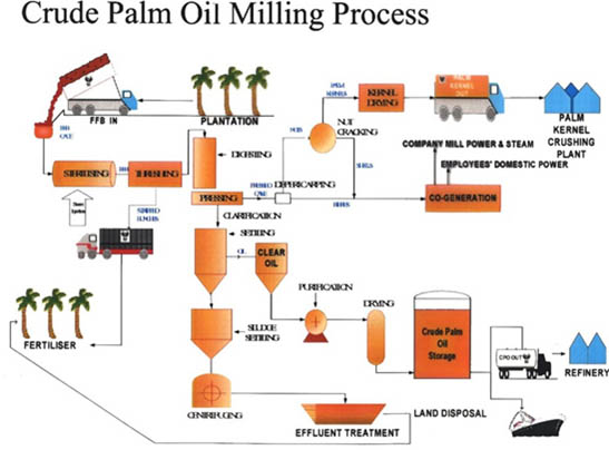 简单介绍棕榈油生产线