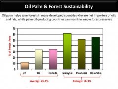 马来西亚的棕榈油产业（1）
