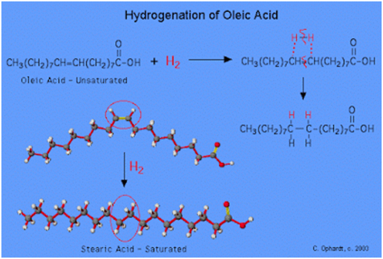 hydrogenated palm oil