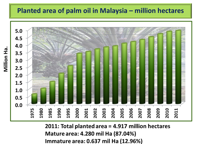 马来西亚棕榈油产业