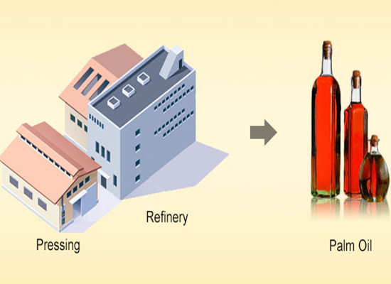 palm oil production process