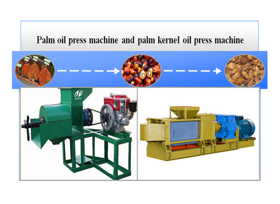 palm oil press machine