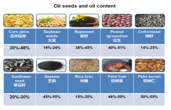 常见油料