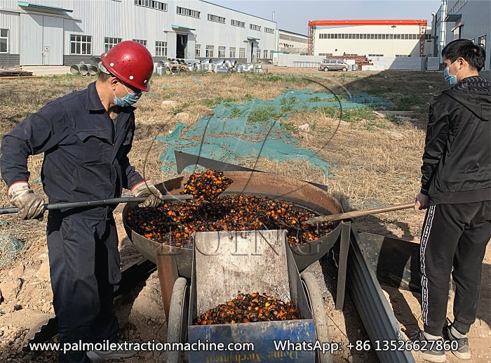 棕榈双螺旋榨油机